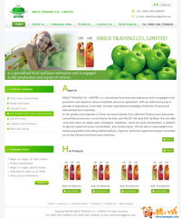 外贸公司网站开发与设计 打造专业、高效的数字门户